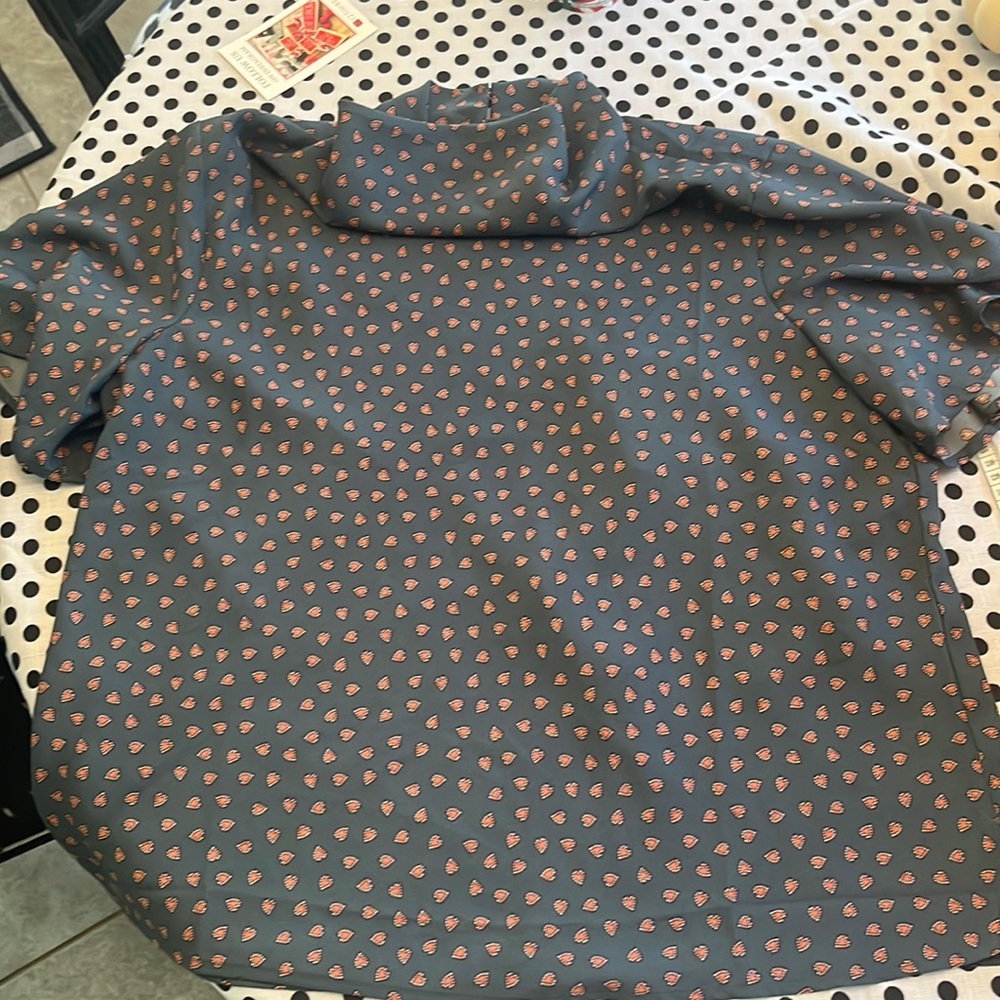 Ann Taylor Blouse.